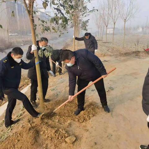 开封市祥符区杜良乡：植树造林再添新绿，加强生态 环境保护