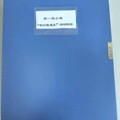 精准把脉开方   护航乡村振兴——区审计局党支部第一党小组开展“审计直通车”志愿服务活动