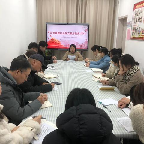 杜城街道龙湖紫宸社区开展十一月主题党日活动