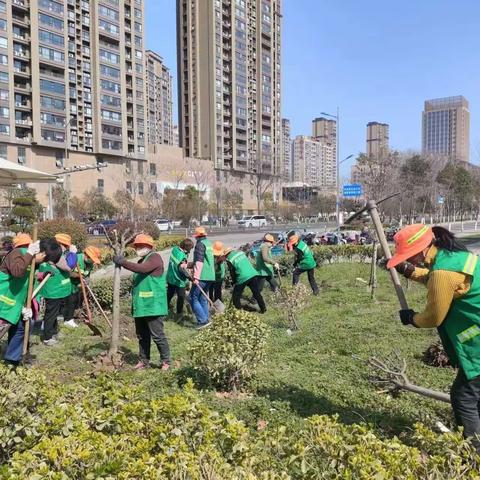 城区绿化春意浓     补植补栽添新彩