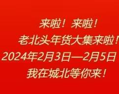 2024盱城街道老北头年货大集