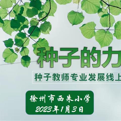 种子的力量——记徐州市西朱小学种子教师专业发展线上总结会