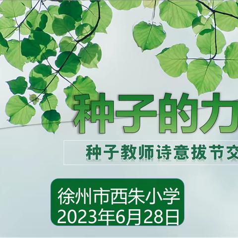 种子的力量——记西朱小学种子教师诗意拔节交流会