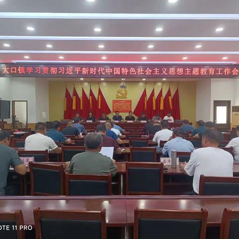 大口镇召开学习贯彻习近平新时代中国特色社会主义思想主题教育工作会议