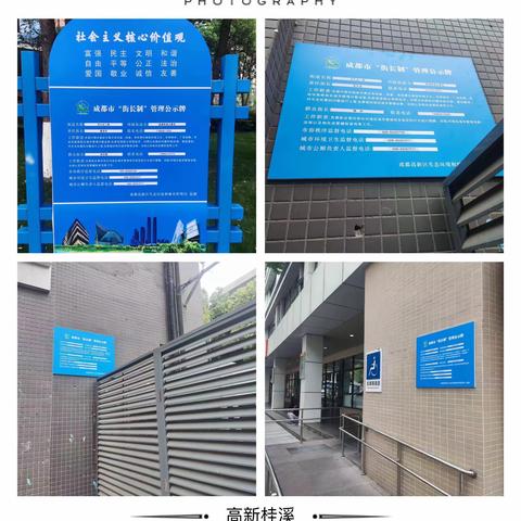 【高新桂溪】持续高标准管控 强化巡查监督 扎实做好市容秩序整治工作