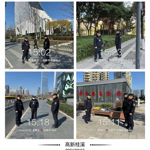 立足本职 压实责任 全力做好春节期间市容秩序保障工作