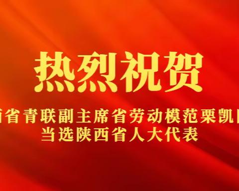 陕西省人大代表 陕西省青联副主席 陕西省劳动模范 栗凯同志 当选西安青年企业家协会会长