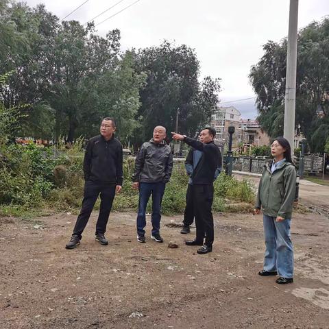 【党群同心 共建家园】党建引领办实事 铺路解忧舒民心