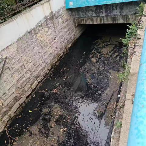 【段北街道】加强河道巡查  确保河道清洁  保护一方碧水