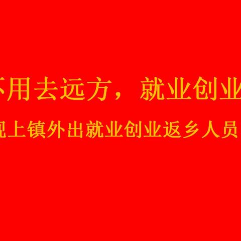 致观上镇外出就业创业返乡人员的一封信