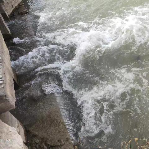 保障湖域蓄水 夯实绿化根基