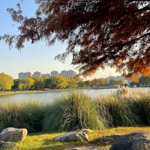 十二月——东太湖生态园