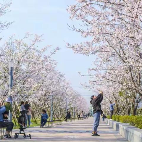 11月走园《天鹅湖公园》