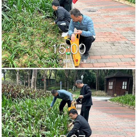 【园容管理周报】儿童乐园2024年1月第三周工作汇报