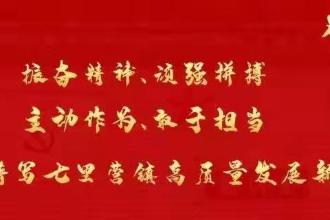 七里营镇召开全镇安全生产研判会议及工作开展情况