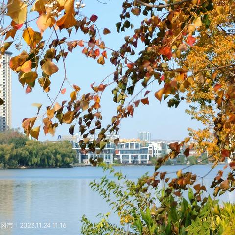 初冬观湖景