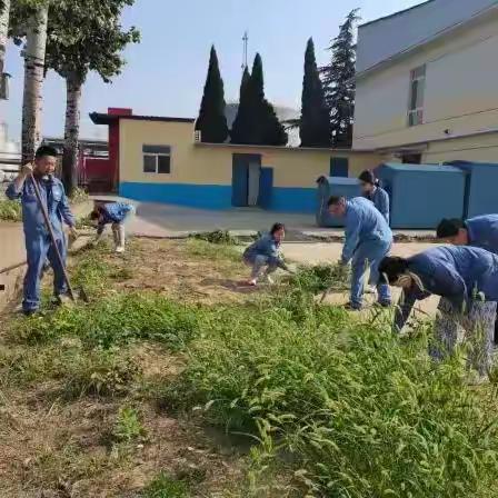 撸起袖子加油干，美化环境齐发力