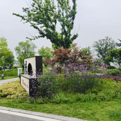 6月走园-无锡白荡公园-项目回访