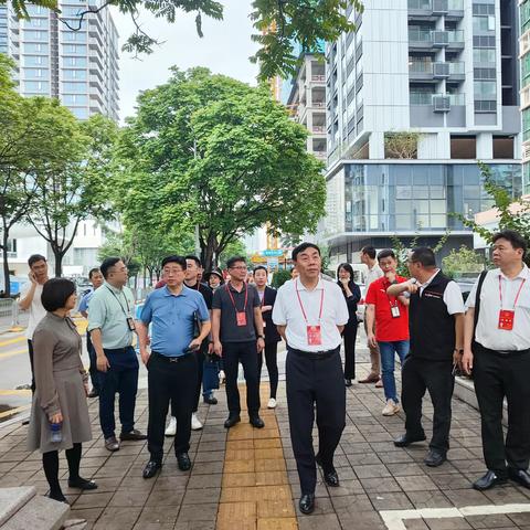 聚焦“瓶颈路”、打通“微循环“，代表委员为辖区交通积极建言献策