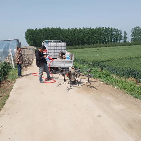 莲庄镇：抢抓时机，立足预防， 切实开展小麦“一喷三防”工作