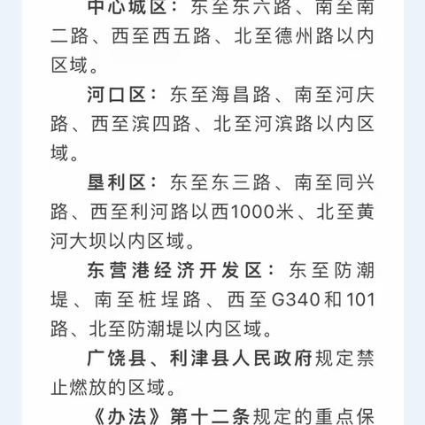 胜坨镇宁海小学2024年春节期间禁燃限放烟花爆竹致家长的一封信