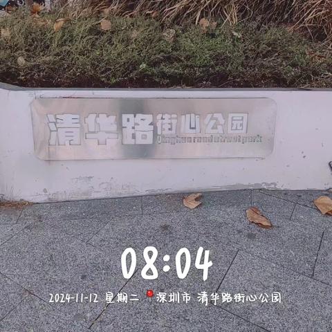 深圳青和城市服务有限公司四害消杀防制工作人员在【福城街道】辖区内做病媒生物防制工作汇报：