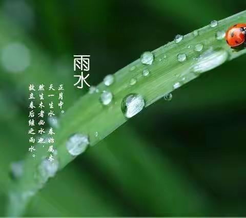 【汀罗镇第二幼儿园】“雨水至，万物生”——汀罗镇第二幼儿园大班“雨水”节气主题活动