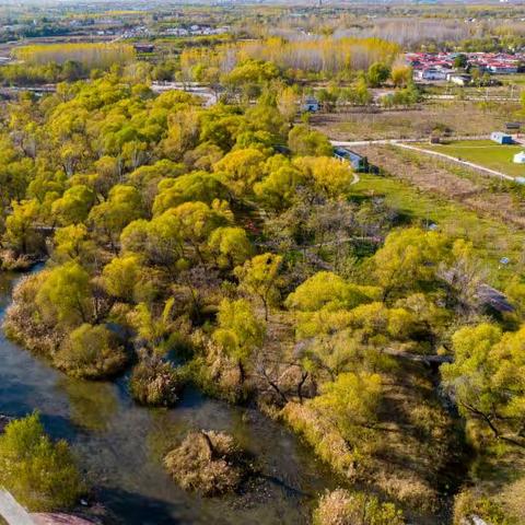 河北邯郸复兴区：“生态复兴”活了经济 美了生活
