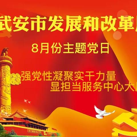 强党性凝聚实干力量  显担当服务中心大局||发改局机关党委开展8月份主题党日