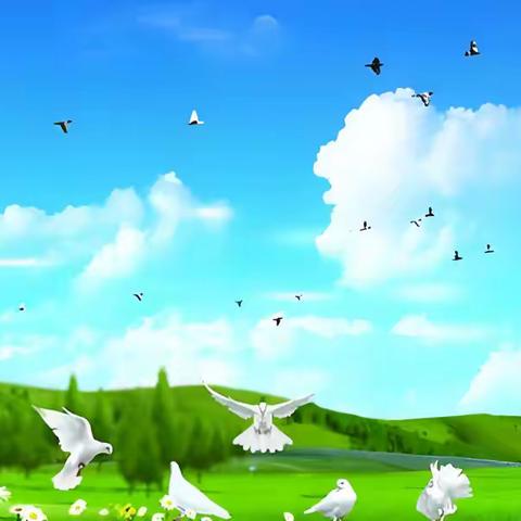 【渭城区民生路学校·德育】渭城区民生路学校“爱护鸟类 守护家园”活动倡议书