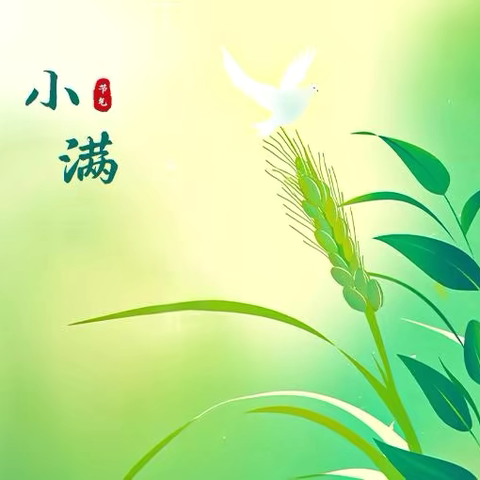 【第55期】中国传统节日（气）科普教育——小满