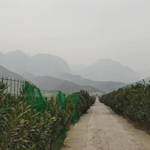 太行山森林步道之香椿沟段