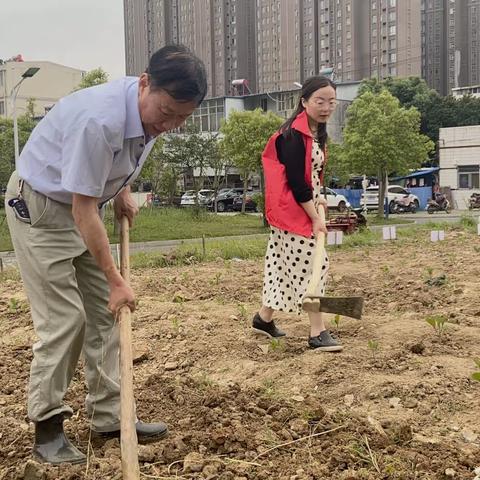 党员干部齐动手 翻地种菜添新芽--记安师大附属庐江三中党委第三支部开展党员志愿者校园义务劳动