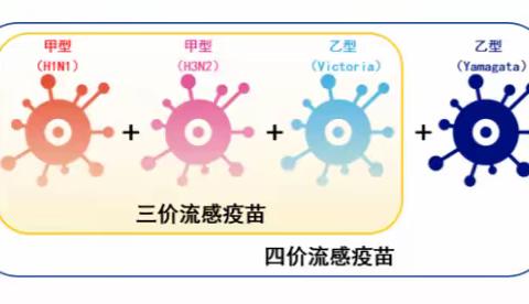 2024.1.15【雅安市名山区文昌实验小学】线上健康教育—流感预防