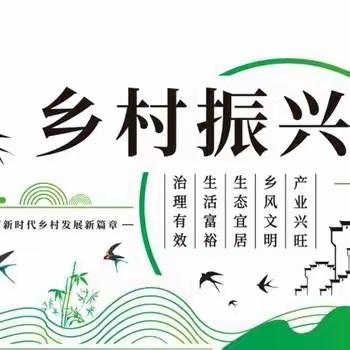 市财政局开展乡村振兴帮扶村调研工作