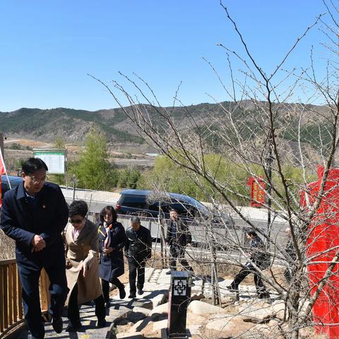 内蒙古自治区税务局老干部处来我局调研