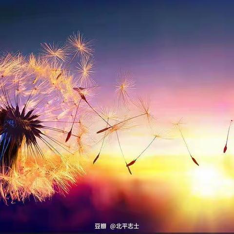 《生活之道》读后感
