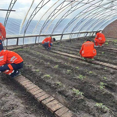 打造健康菜园子 提升职工幸福感