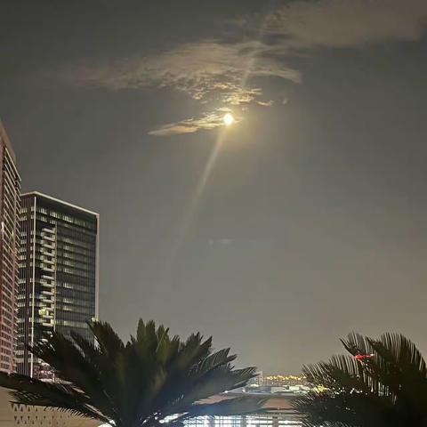 七月半次韵刘禹锡酬乐天扬州初逢席上见赠