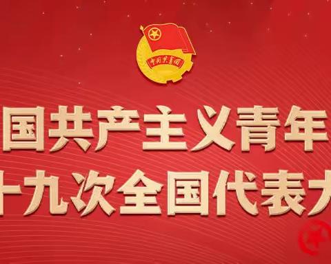 中国共产主义青年团第十九次全国代表大会在京开幕-​团的十九大是什么？几张图给你科普到位！