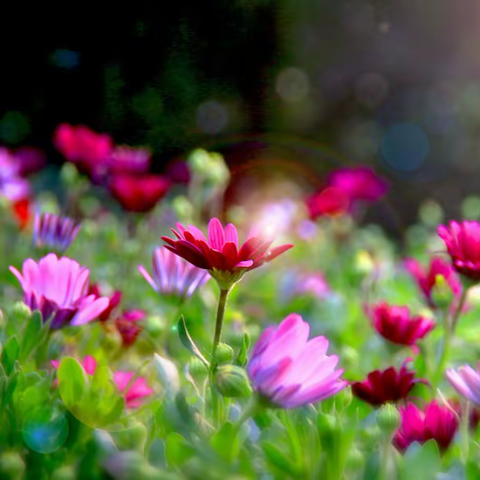 2022年末结语---高2022级6班