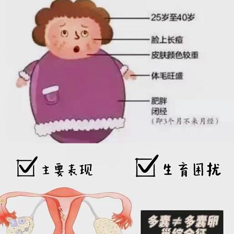 多囊≠多囊卵巢综合征，该怎么调理好