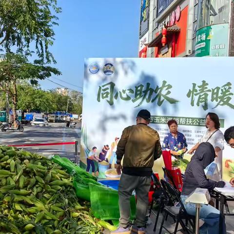 同心助农 情暖东方｜三亚市澄迈商会积极参与东方玉米待销帮扶公益活动