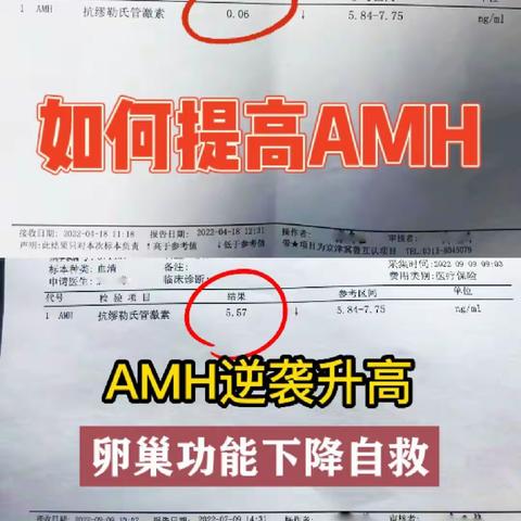 AMH逆袭升高，卵巢功能下降怎么调理