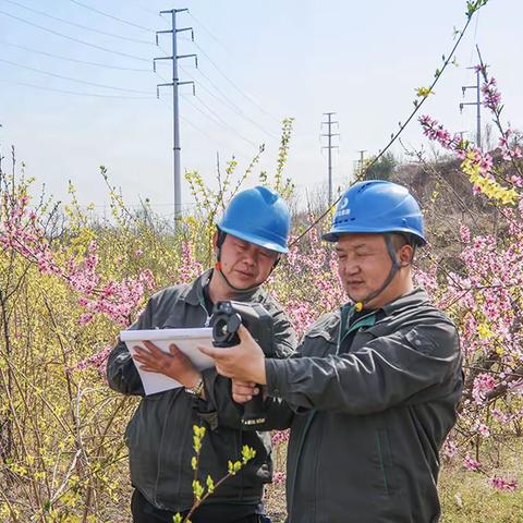 分公司输电运维中心圆满完成五级电网风险护线任务