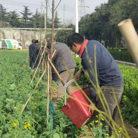 阳春三月添新绿 匠心筑园启新篇—— 恒星科技深耕花园式厂区建设，筑牢高质量发展生态底色