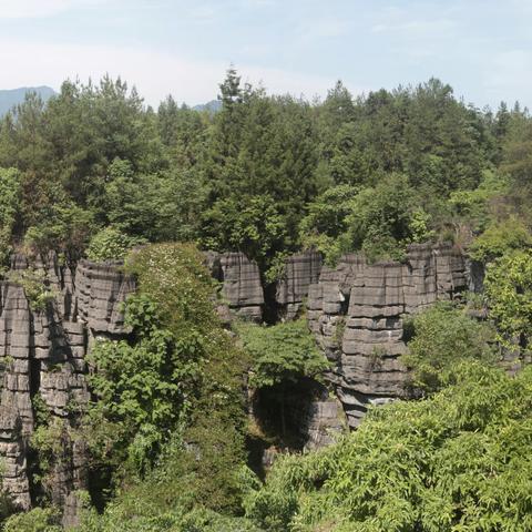 恩施  神州大地上的奇葩   梭布垭石林