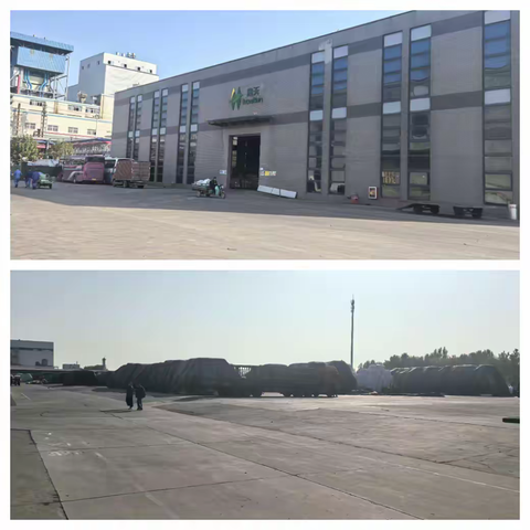 北乡义镇：外出考察谋合作  甜叶菊育苗促“镇”兴