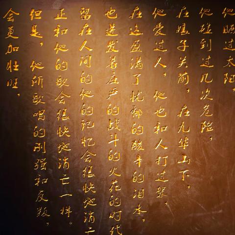 我们去晒太阳吧