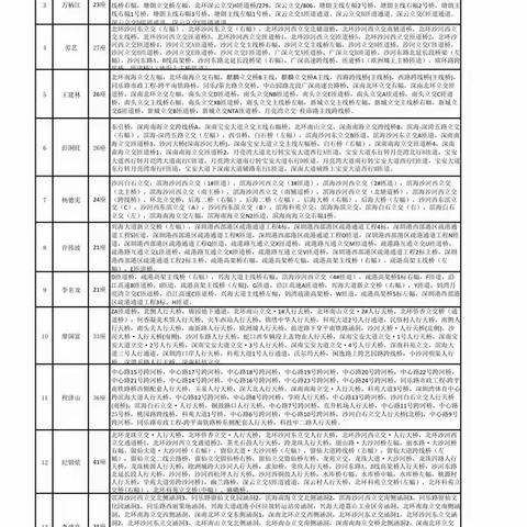 南山管理局专职专业桥梁养护工程师工作周报